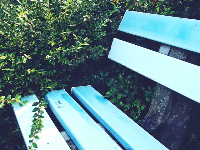 上海上港的 上海上港的