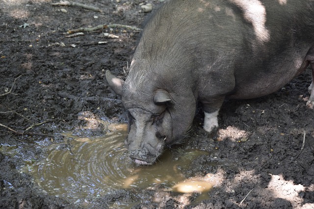 健康问题 健康问题