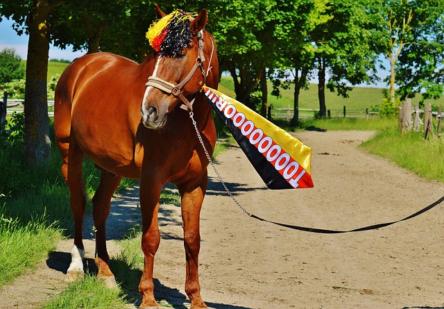 仅体现了胜 仅体现了胜