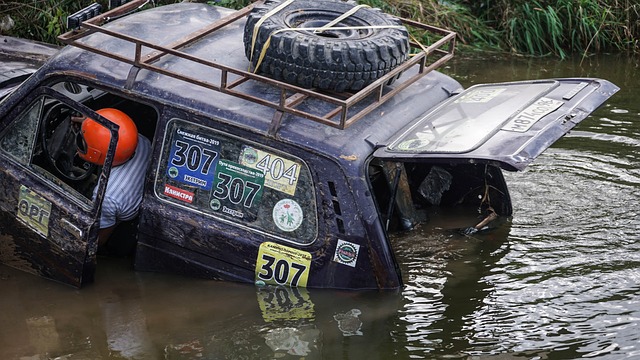自由精神 自由精神