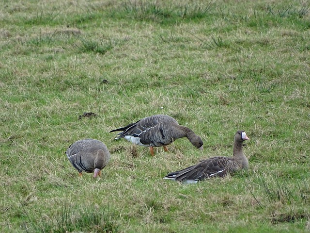 领先者一刹 领先者一刹